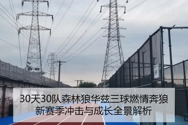 30天30队森林狼华兹三球燃情奔狼新赛季冲击与成长全景解析 | xingkong